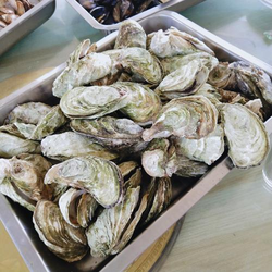 天天干安装步骤详细图解